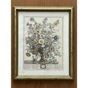 Vintage Botanical Flower Print November Arthur Kaplan Reprint 1993 Framed Art